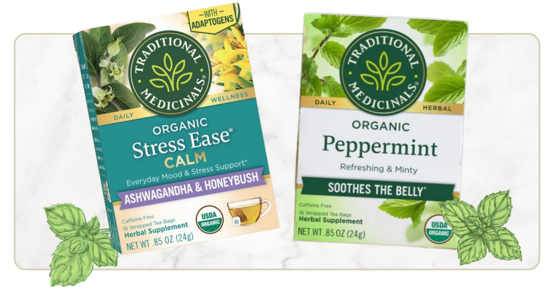 Free Teas with enrollment by Traditional Medicinals - Herbal Tea Maker’s Studio