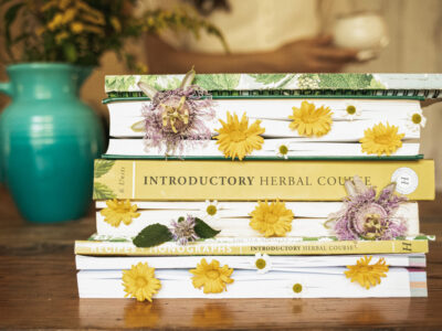 A Summer Pause on Our Herbal Courses by Herbal Academy