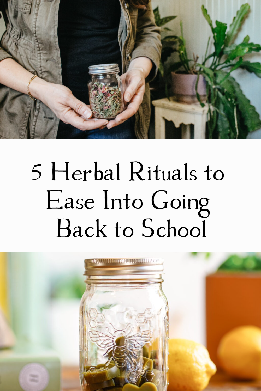 We have five herbal ritual suggestions that will help you going back to school with support for mental focus and overall wellbeing.
