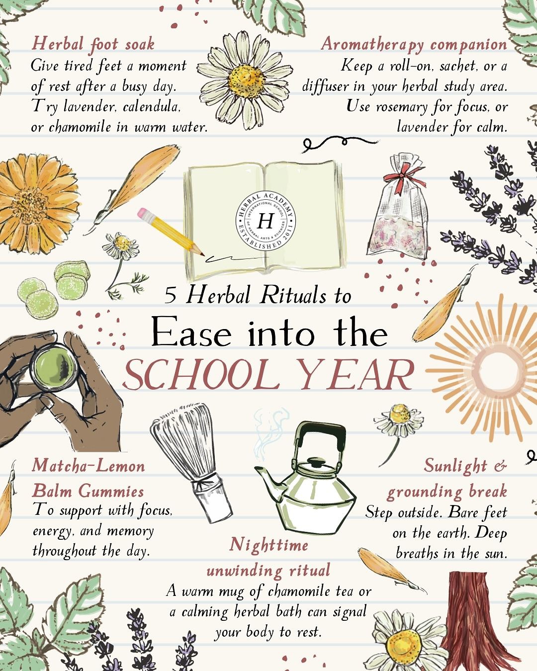 We have five herbal ritual suggestions that will help you going back to school with support for mental focus and overall wellbeing.