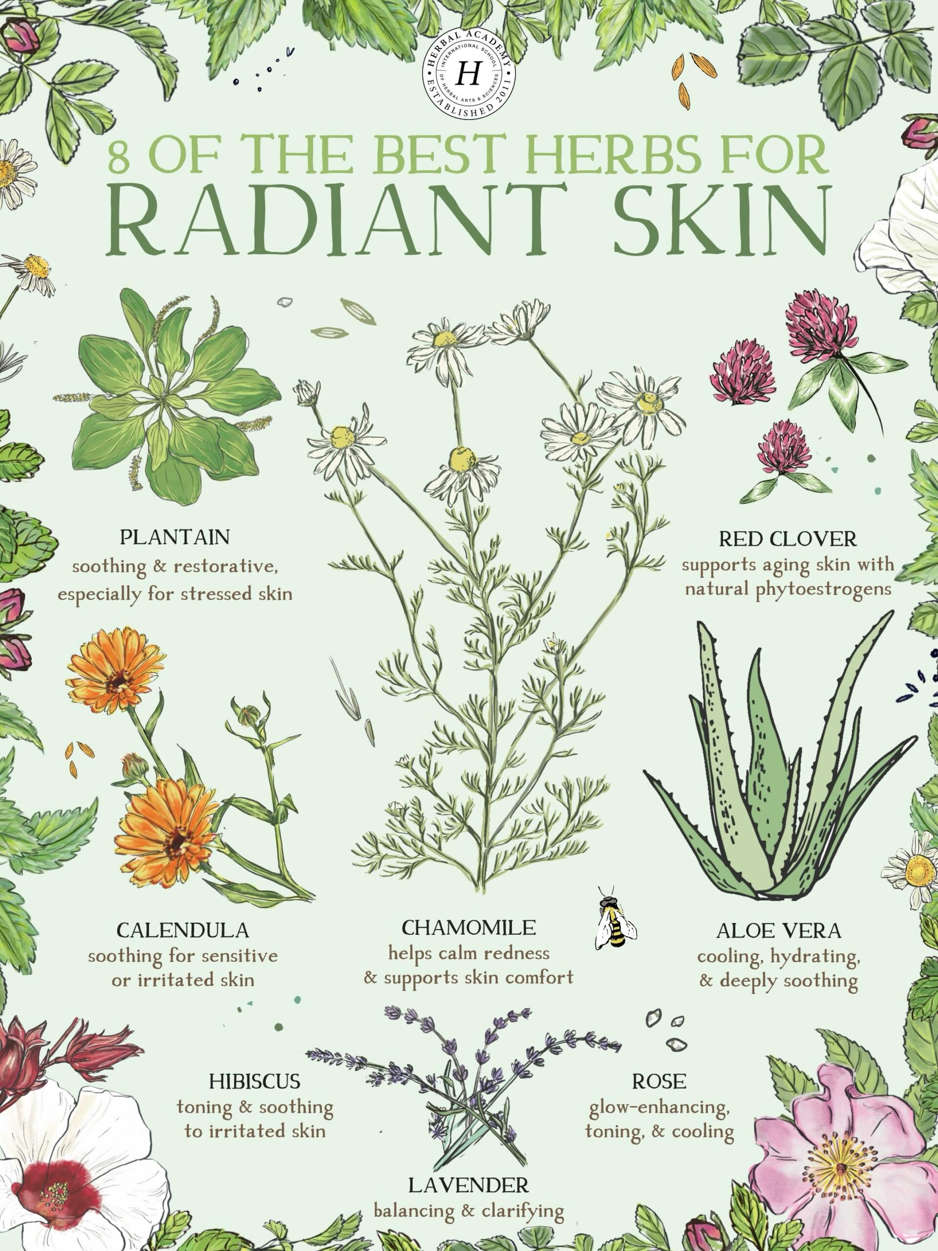 8 of the Best Herbs for Radiant Skin by Herbal Academy