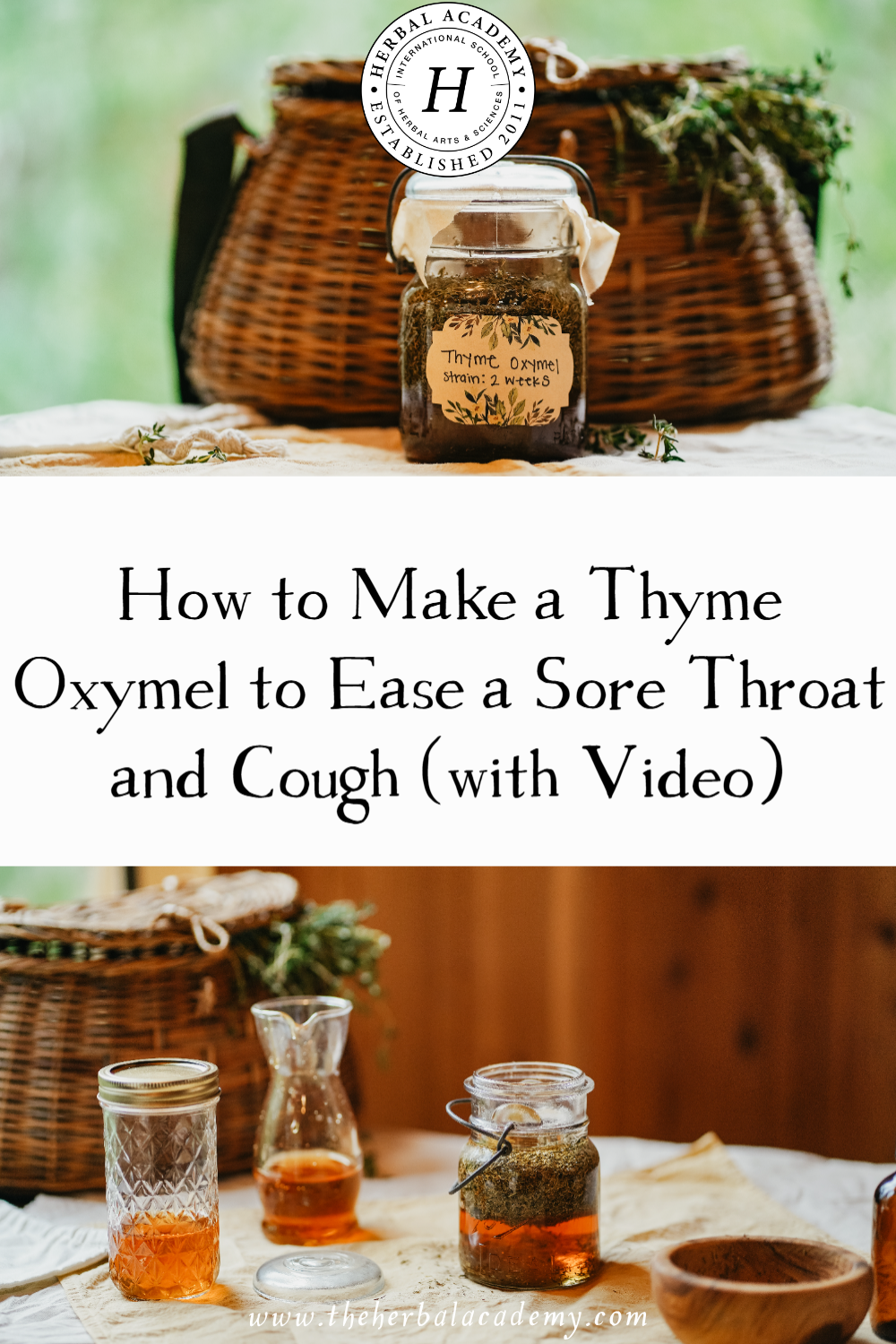 How to Make a Thyme Oxymel to Ease a Sore Throat and Cough (with Video) by Herbal Academy