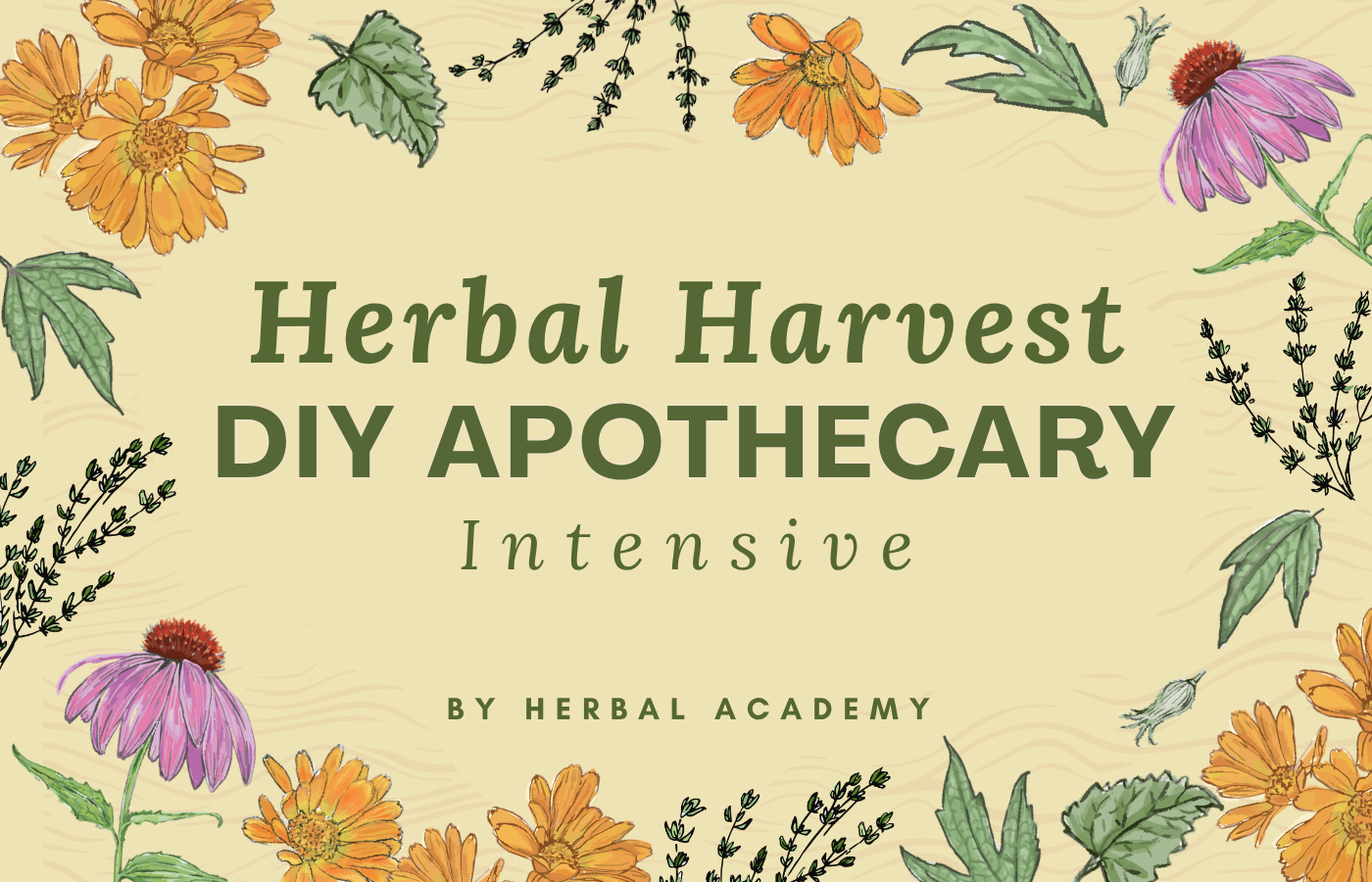 How to Make a Thyme Oxymel to Ease a Sore Throat and Cough (with Video) by Herbal Academy