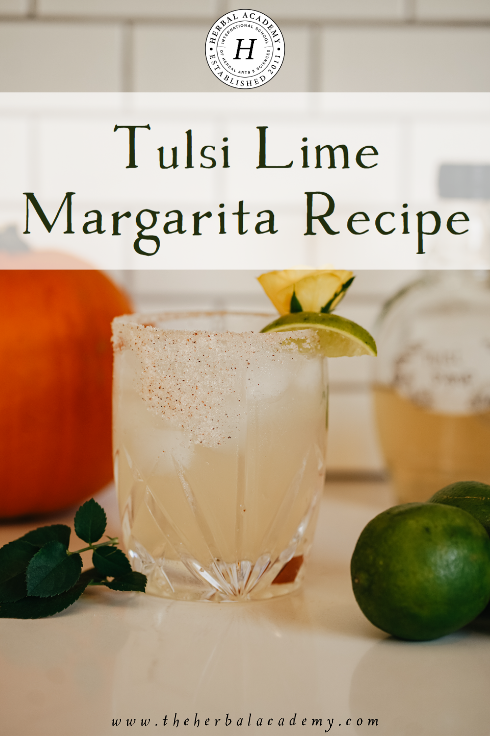 The perfect recipe to dance around your kitchen with, this Tulsi Lime Margarita Recipe provides an adaptogenic, herbal twist on a classic cocktail.