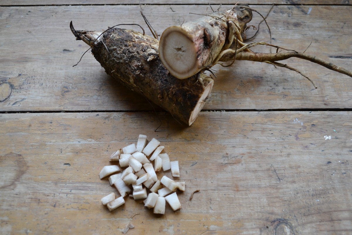 burdock root and root slices on a table