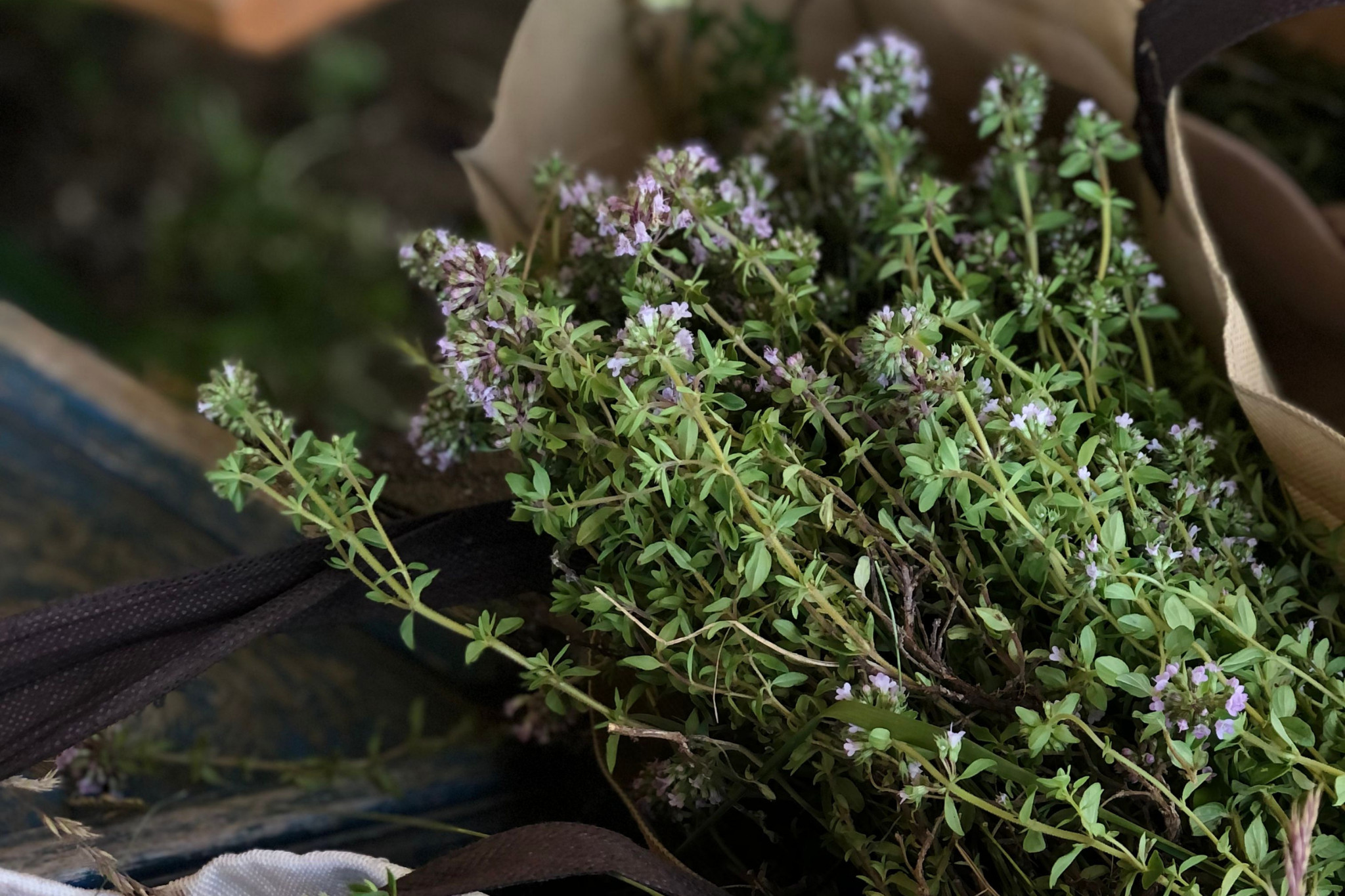 How to Make a Thyme Oxymel to Ease a Sore Throat and Cough (with Video) by Herbal Academy