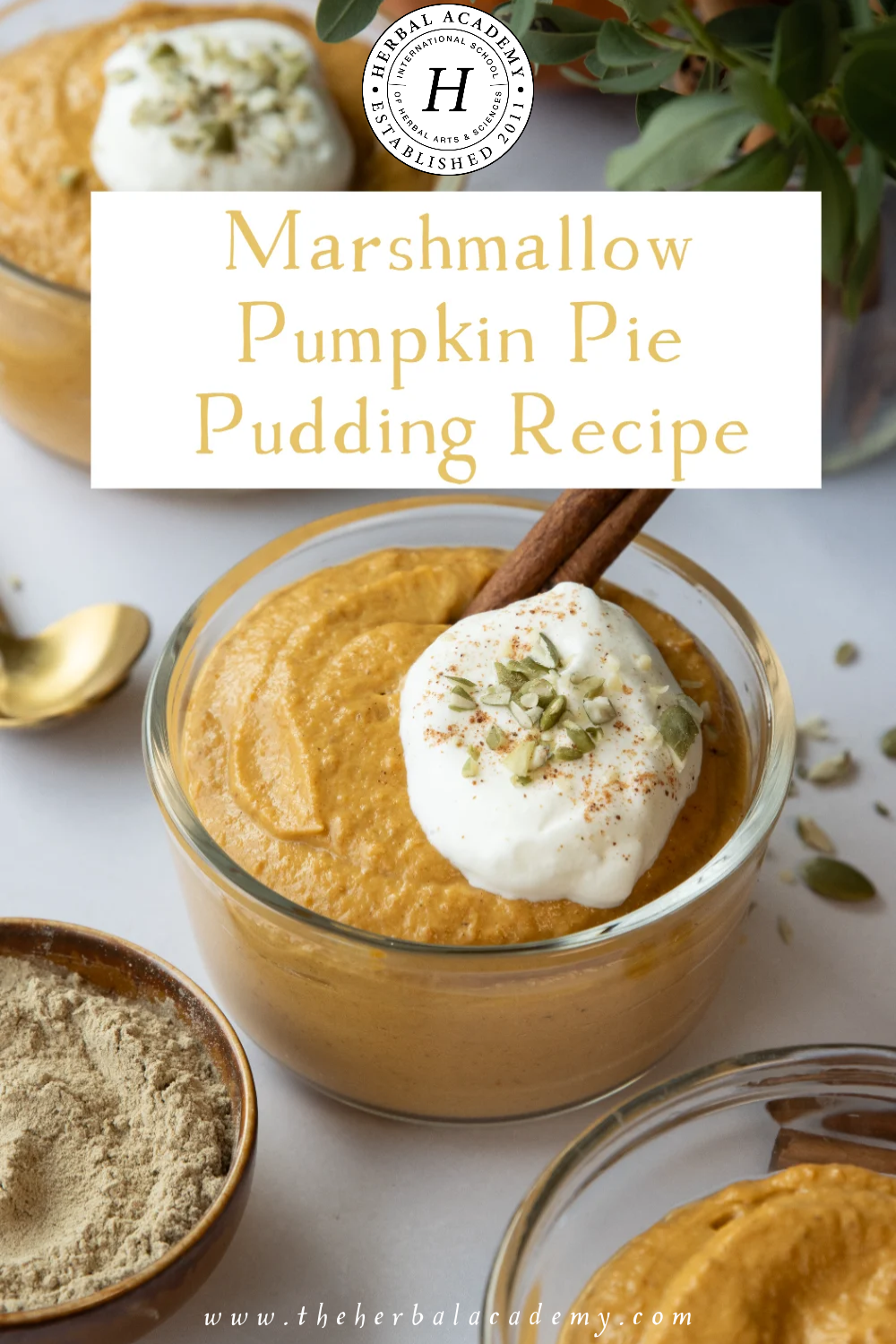 The spices in this pumpkin pie pudding recipe complement the pumpkin perfectly and help to warm the body in the cooler autumn months.