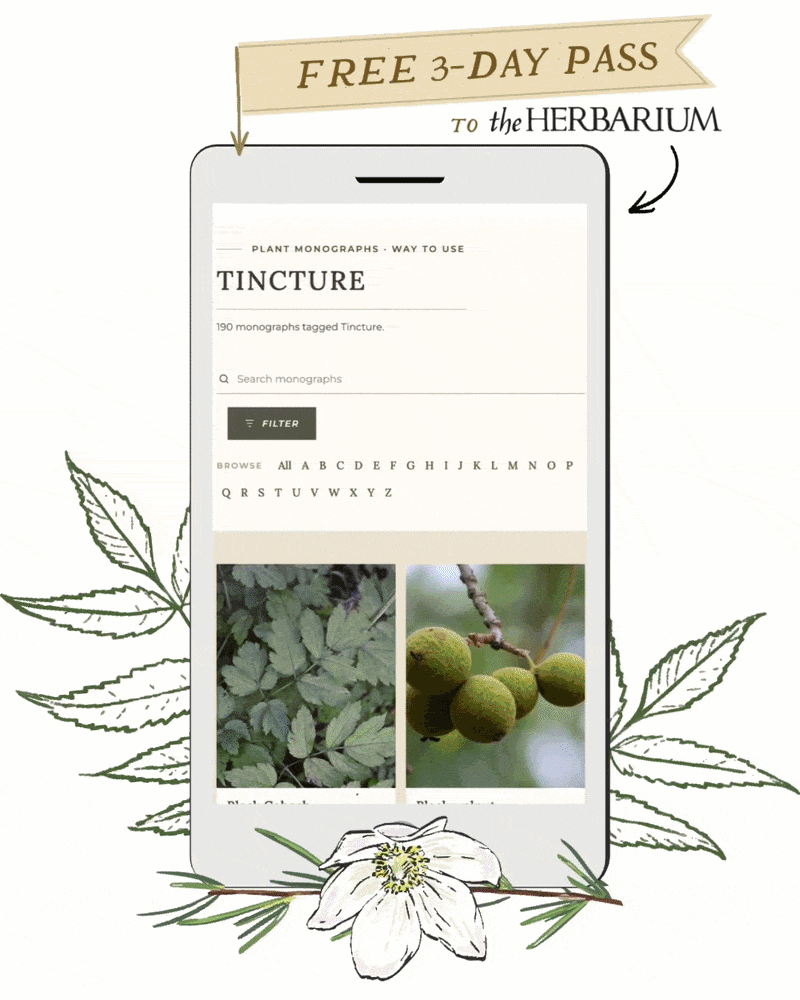 Plant Path Immersion: 3-day free Herbarium summit