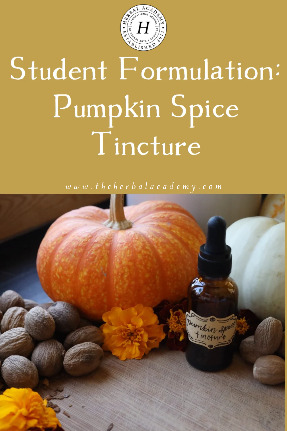 If you find yourself craving fall flavors, try crafting this Pumpkin Spice Tincture. Perfect for lattes, chai, or any recipe that calls for fall comfort.
