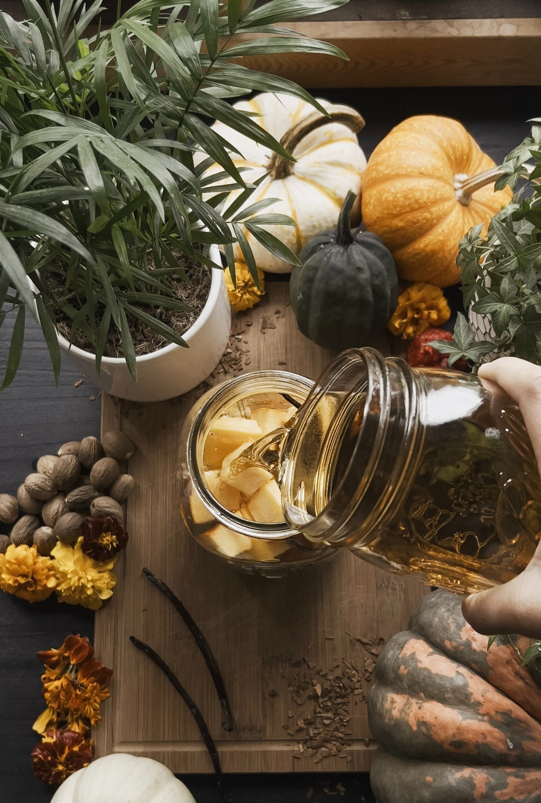 Pouring tincture over a jar of pumpkin